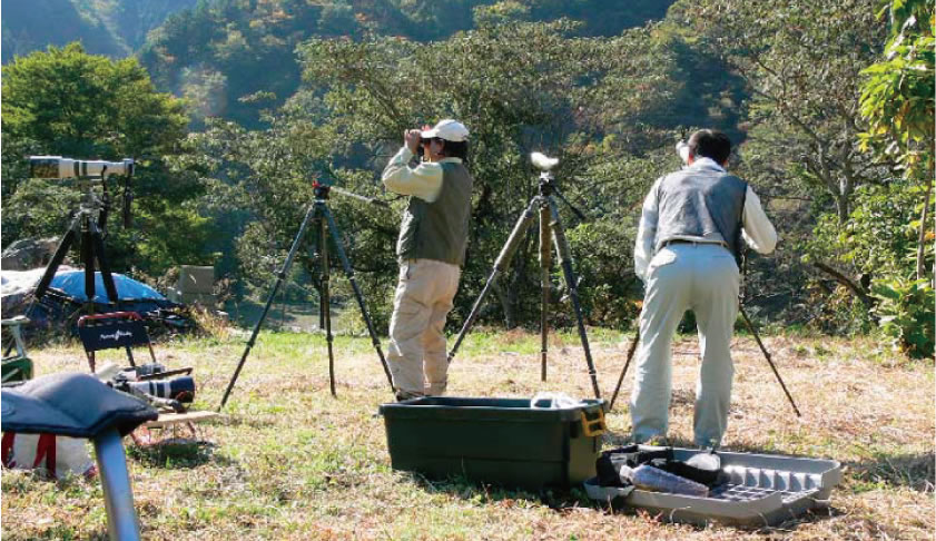 野鳥・猛禽類調査の様子
