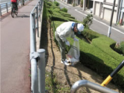 遊歩道脇に落ちているゴミを拾っている男性の写真