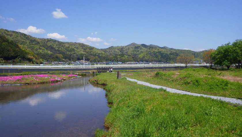 整備された松山水辺公園多自然型護岸の写真