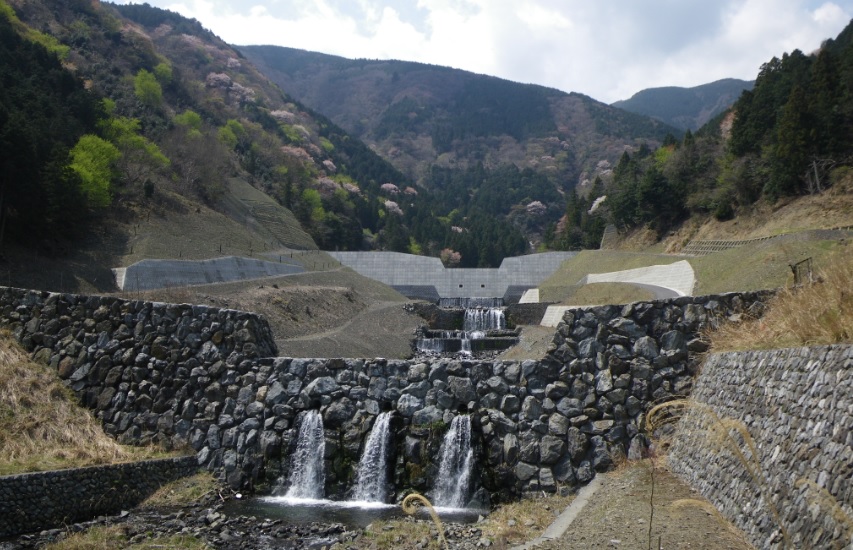 俯瞰で撮影された河川の写真