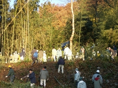竹林整備 作業の様子