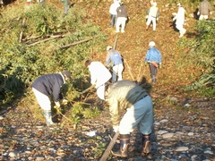 竹林整備 切り出した竹をさらに4mに切断