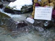 水質調査